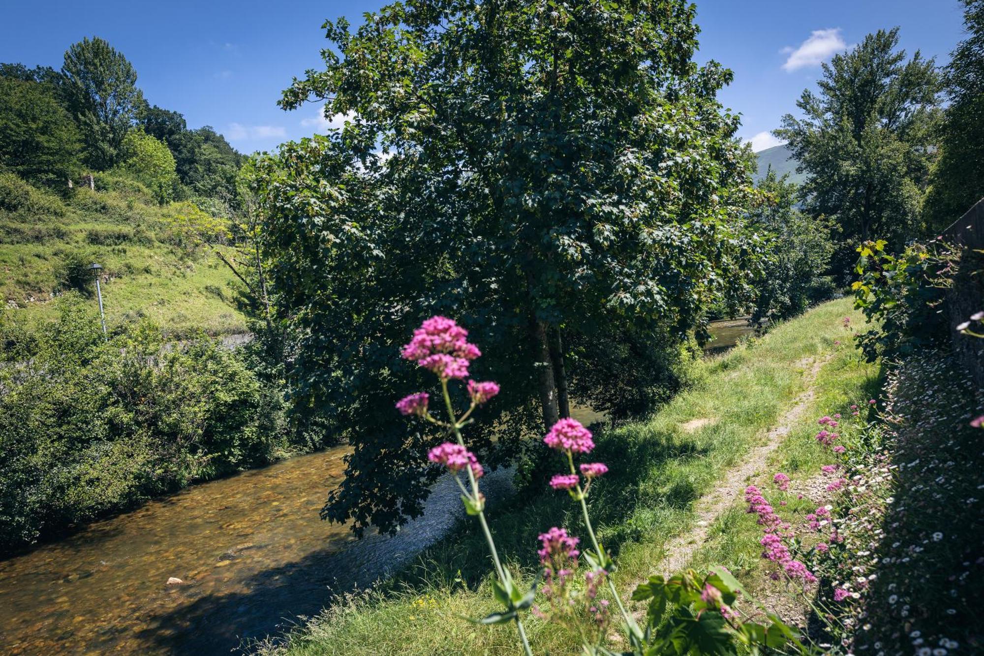 La Naguada En Asturias Holiday home *
